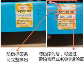 自動(dòng)化助力信息化升級(jí) 雷柏產(chǎn)品查詢系統(tǒng)革新信息咨詢體驗(yàn)