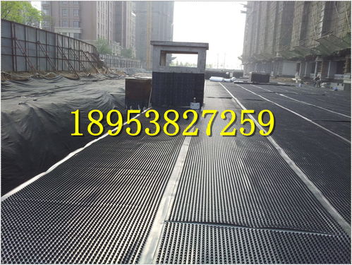 呼和浩特樓頂花園排水板建筑塑料疏水板陽江