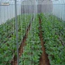 萊蕪市萊城區(qū)蔚霖節(jié)水灌溉產(chǎn)品經(jīng)營部